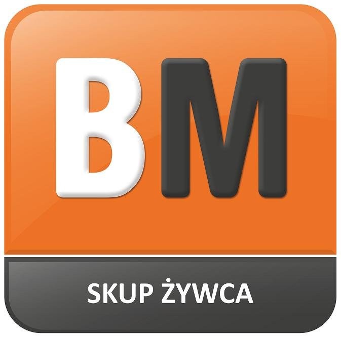 Skup BYDA, TRZODY- GOTÓWKA!!