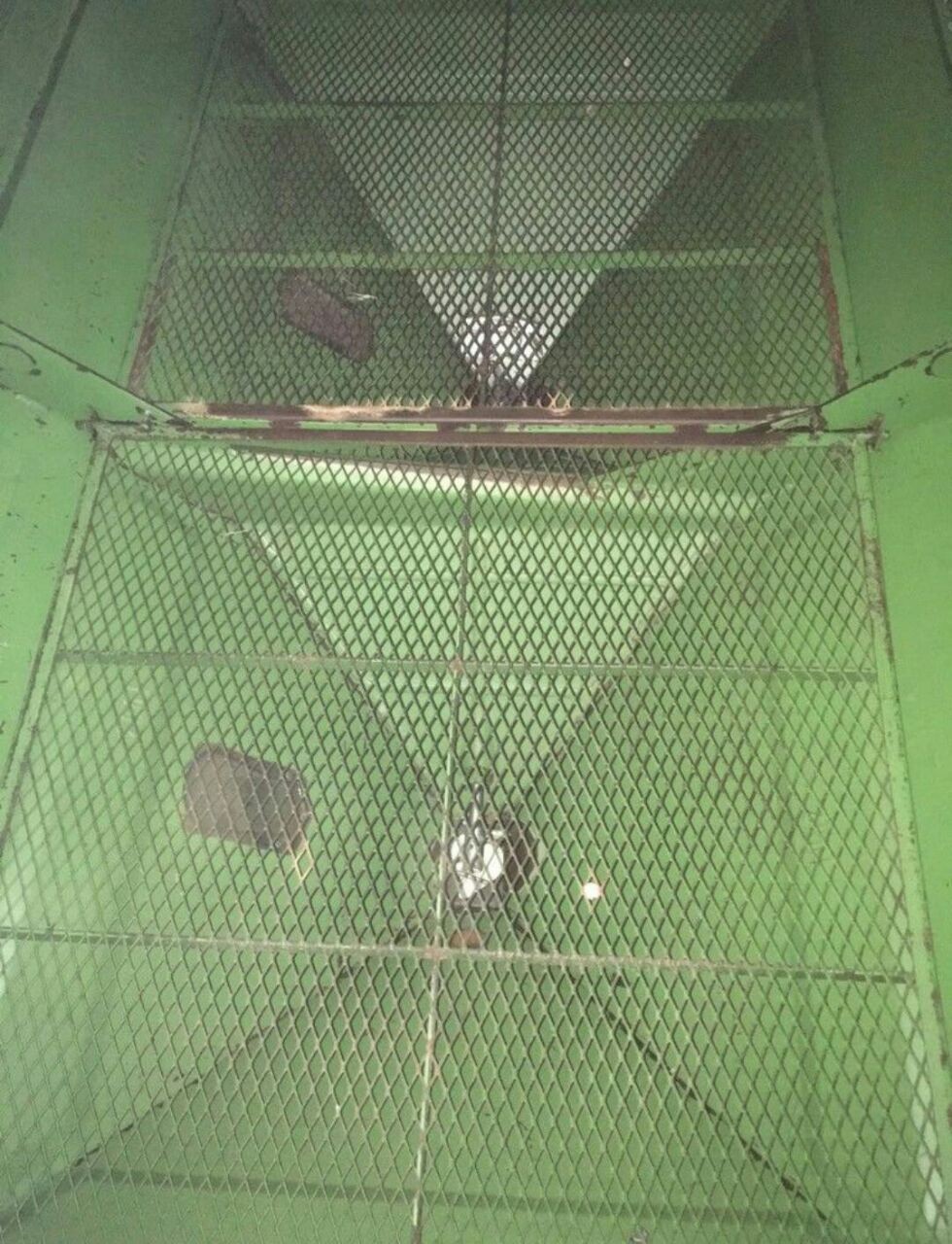 Rozsiewacz nawozów AMAZONE ZA-M II 2 Nie RAUCH Amazone ZAM II 2800 kg  — zdjęcie 6