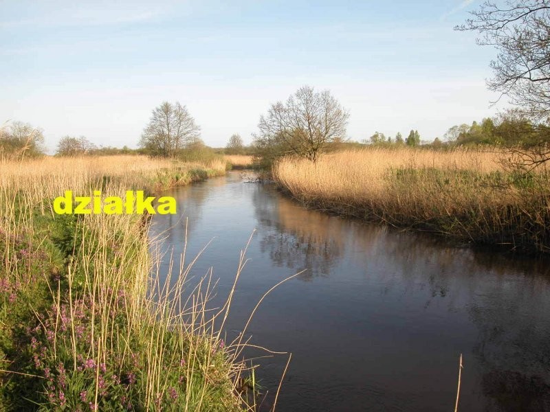 oddam ziemie w dzierzawe 14 ha — zdjęcie 3