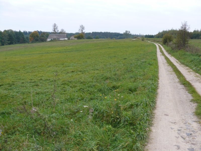 Gospodarstwo rolne (siedlisko) 10h ziemi rolnej — zdjęcie 2