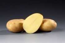 ZIEMNIAKI +Cebula gratis: RAMOS, IBIS PODKARPACIE — zdjęcie 2