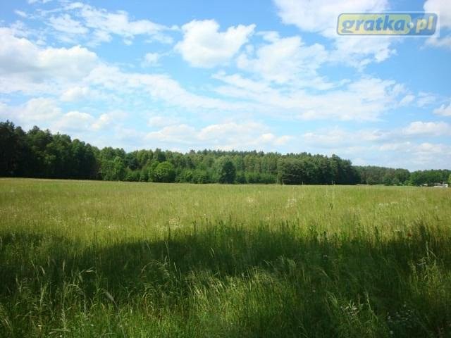 Piękna nieruchomość, gm.Skoki, 2.5ha, — zdjęcie 4