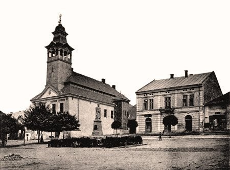 pellet słonecznikowy