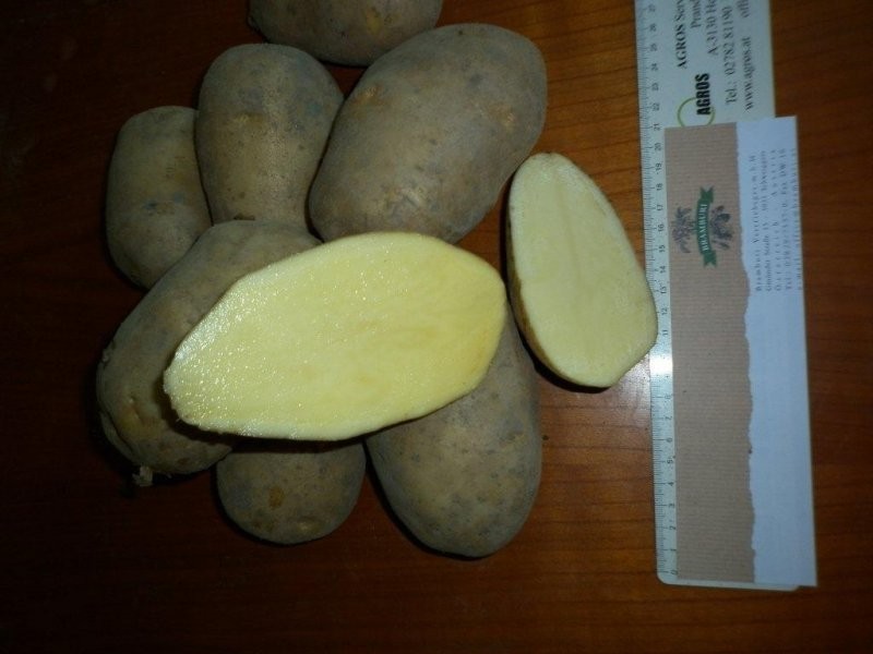 Ziemniaki z FITO