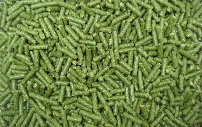 Pellet z lucerny granulat