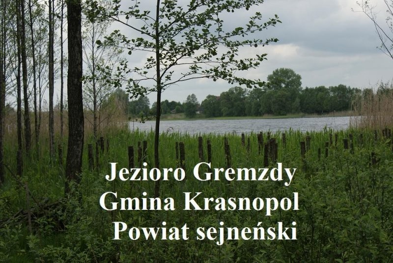 (35) Działka z linią brzegową jeziora Gremzdy — zdjęcie 1