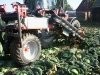 Kombaj do zbioru kapusty — zdjęcie 2