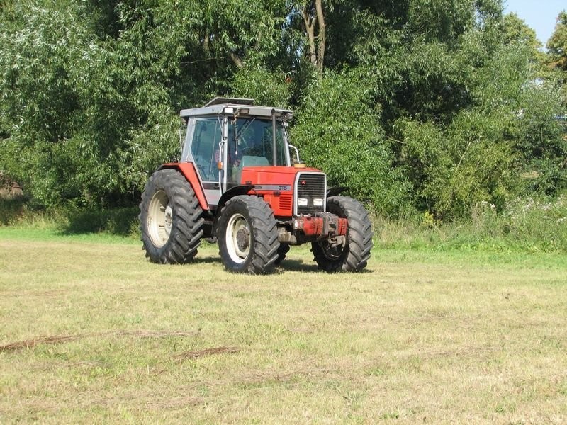 Massey Ferguson 3115 z wyciągarką - zrywka drewna — zdjęcie 1