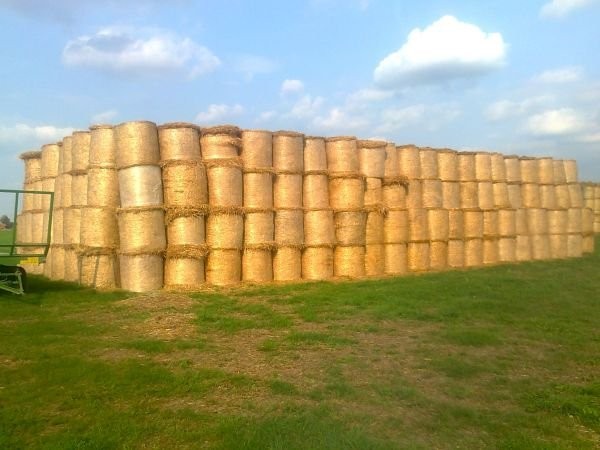 Słoma w belach 600 sztuk — zdjęcie 1