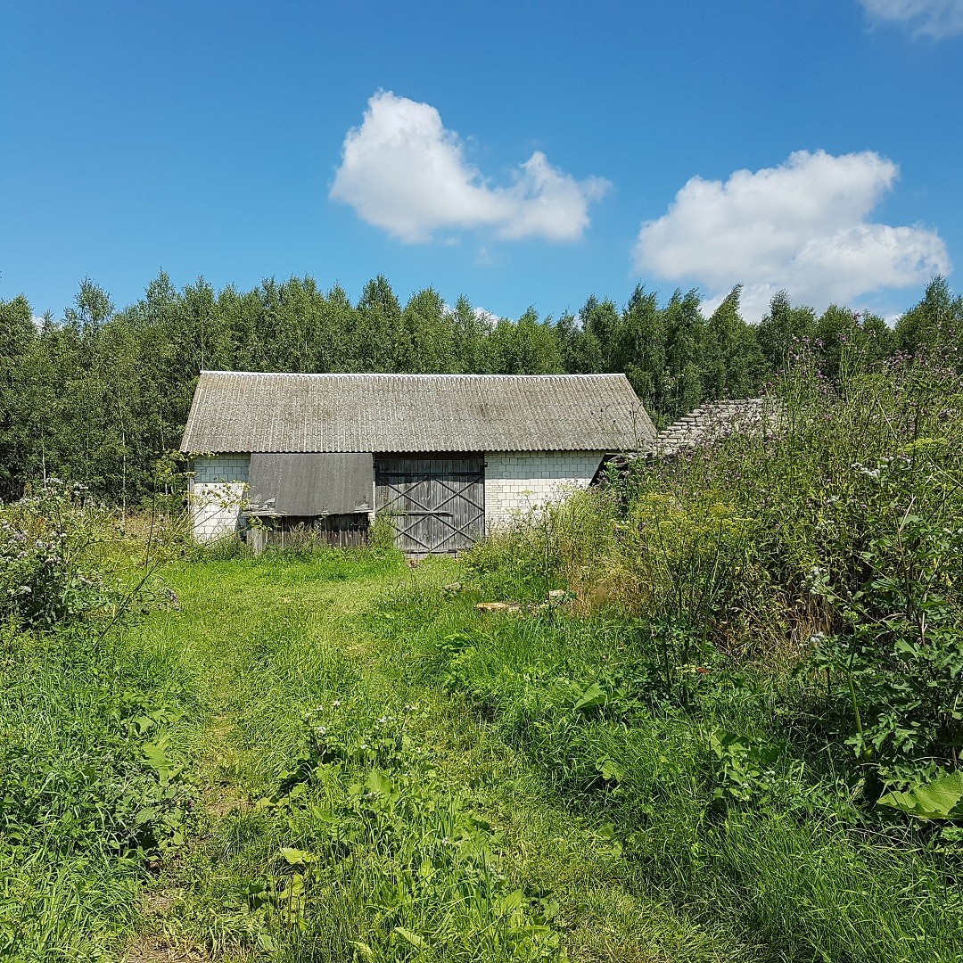 Gospodarstwo rolne — zdjęcie 1