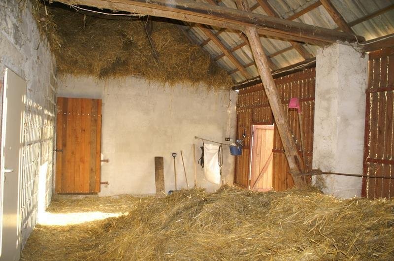 Stadninę wokolicach Poznania — zdjęcie 3