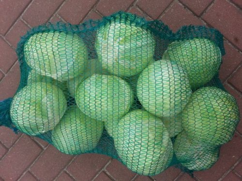 Sprzedam piękną kapustę białą kaliber 1 do 4 kg zdrowa i zielona