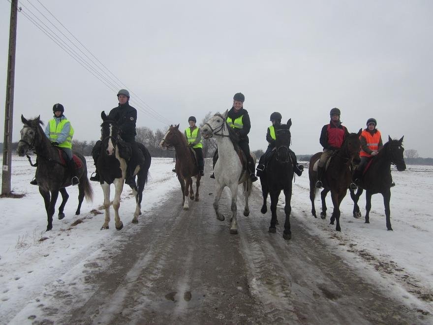 wczasy pod gruszą — zdjęcie 4