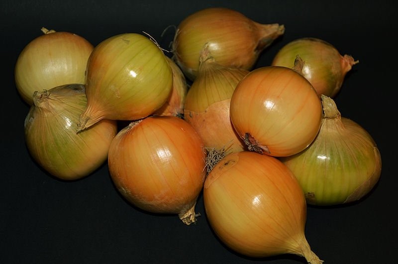 SPRZEDAM CEBULE — zdjęcie 2