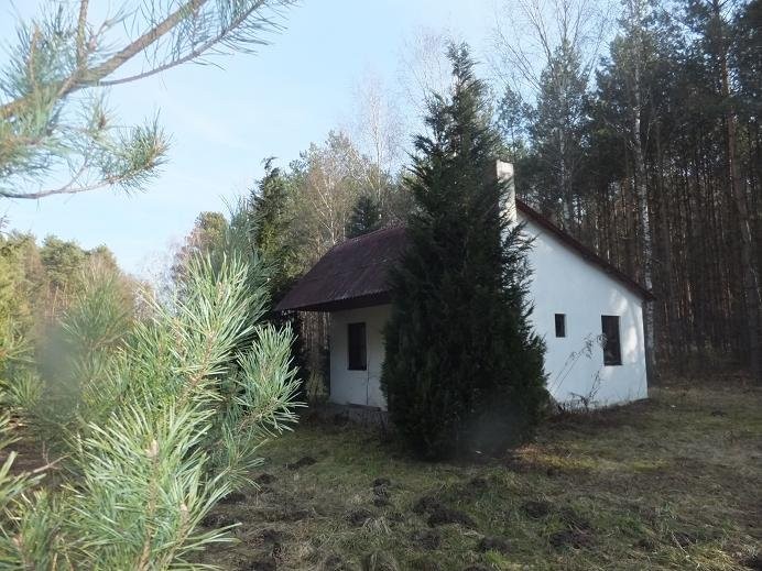 ROKITNO~ DZIAŁKA BUDOWLANO-REKREACYJNA — zdjęcie 2