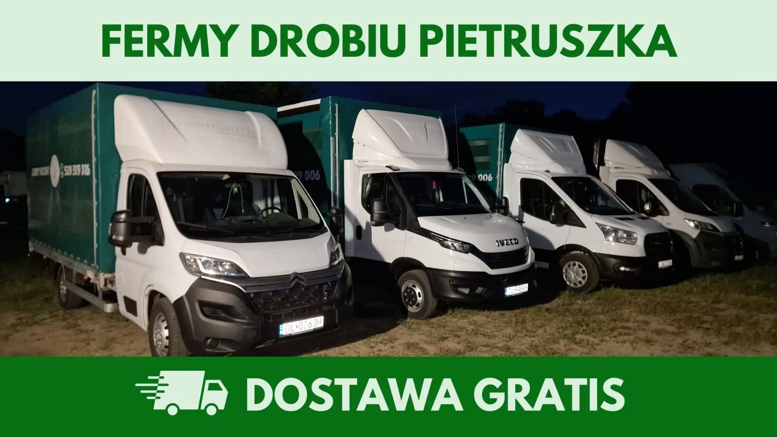Kury nioski 12–20 tyg. | Dostawa GRATIS | Ferma Drobiu — zdjęcie 6