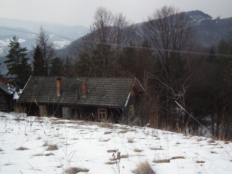 GOSPODARSTWO ROLNE W GÓRACH 1,66 ha, powiat N.SĄCZ — zdjęcie 2
