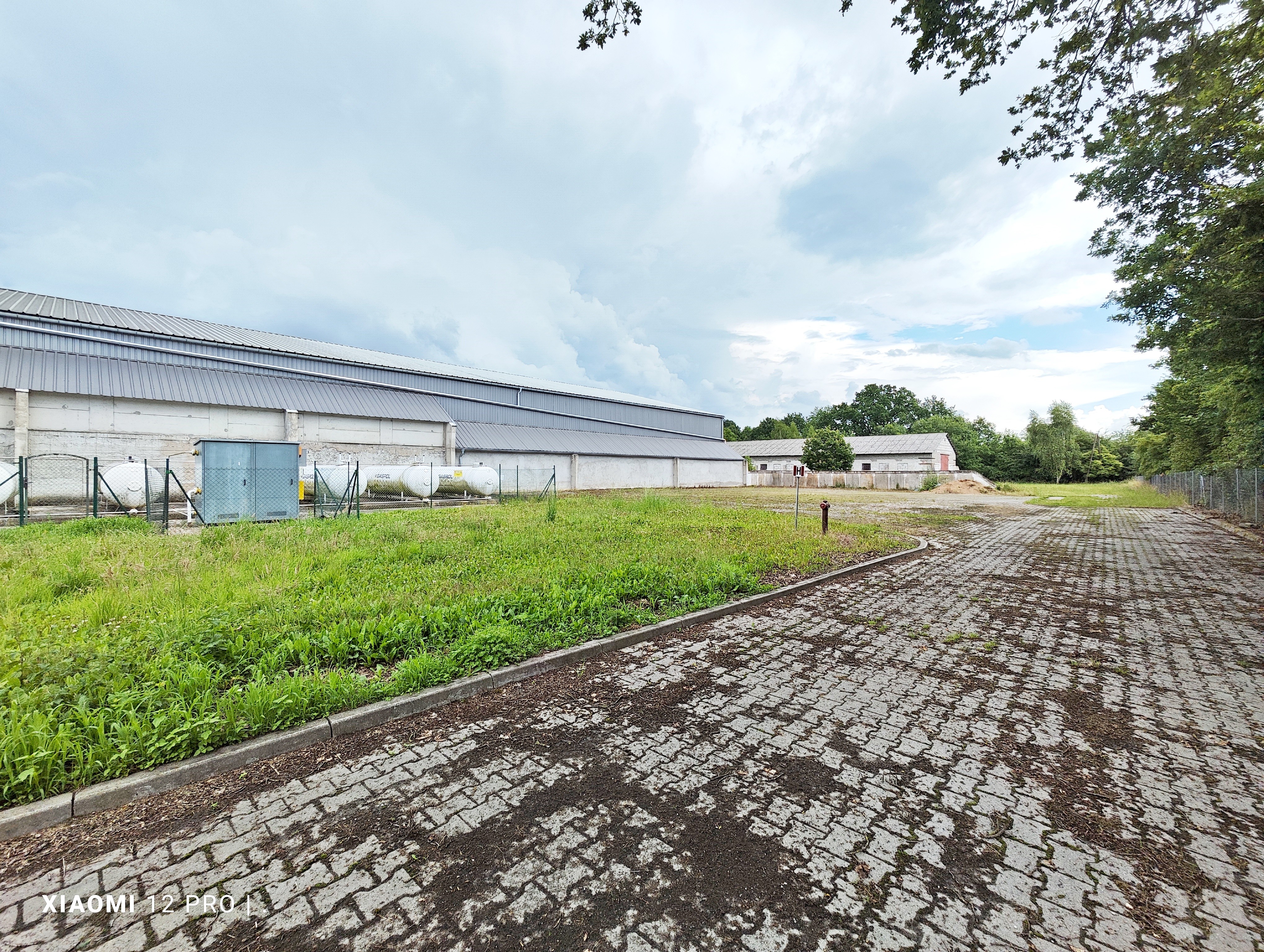 Kompleks rolniczo-magazynowy – silosy na 6800 ton-7 hal-2,65 ha ziemi — zdjęcie 2