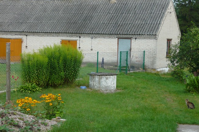 Siedlisko z zabudowaniami — zdjęcie 3
