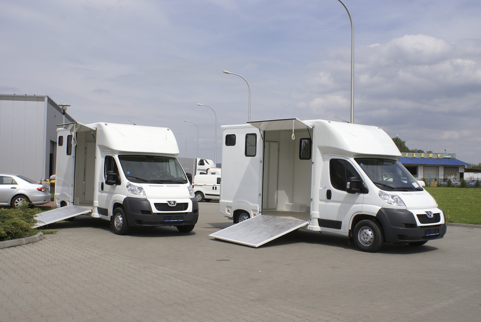 {-----Profesjonalny transport koni------} Perzów,783959864 — zdjęcie 2