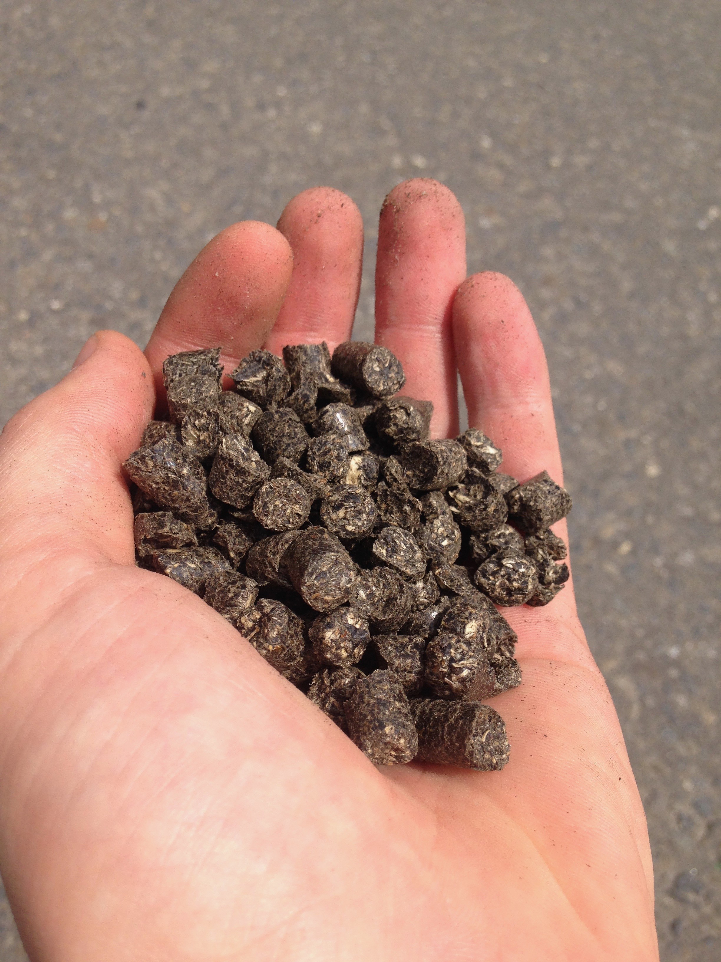 Pellet z łusek słonecznika 18-21,5 MJ, fvat z polskiej firmy — zdjęcie 1