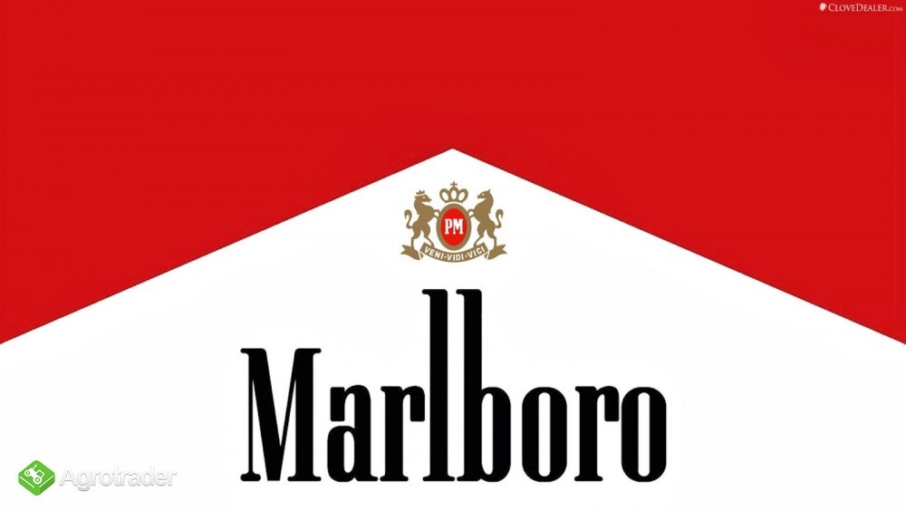 Marlboro  +45 36 96 72 81
