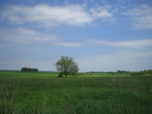Gospodarstwo 334 hektary, 17.000 zł / ha
