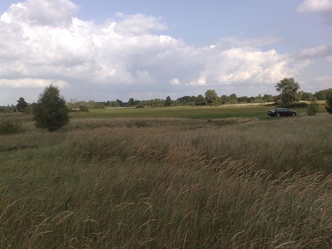działka nad rzeką Narwią — zdjęcie 4