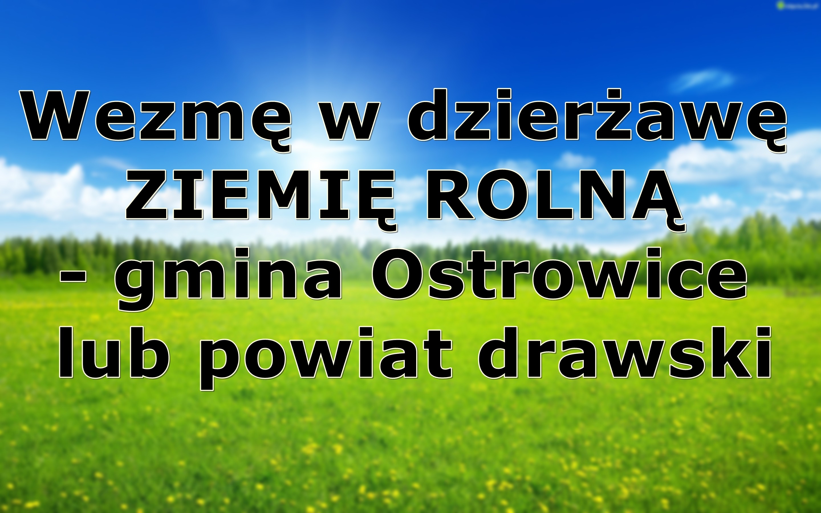 Wezmę w dzierżawę ziemię rolną - powiat drawski