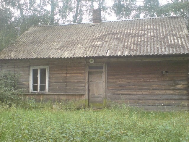 sprzedam zalesione grunty rolne — zdjęcie 2