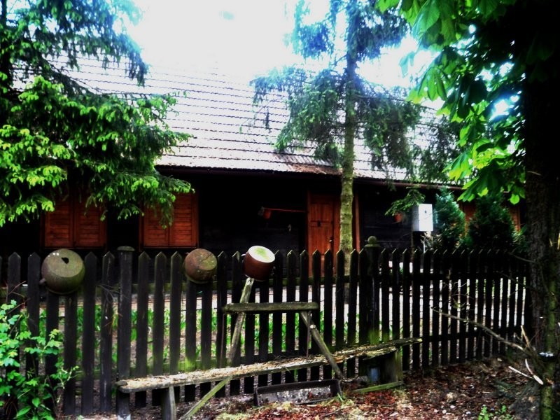 Gospodarstwo Rolno-Agroturystyczne — zdjęcie 6