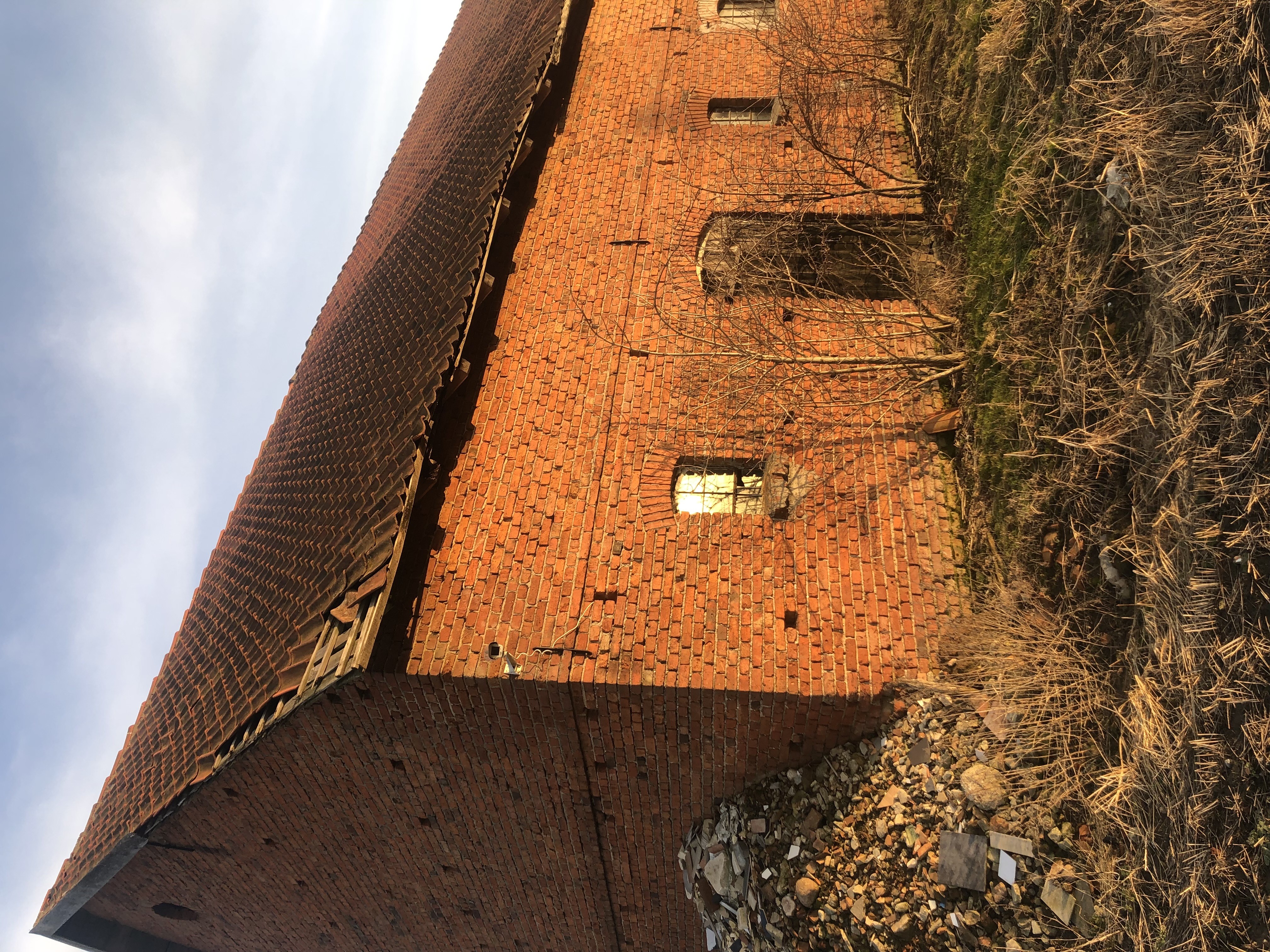 Gospodarstwo rolne 16,87 ha z zabudowaniami  Wirwilty, gm. Bartoszyce — zdjęcie 7