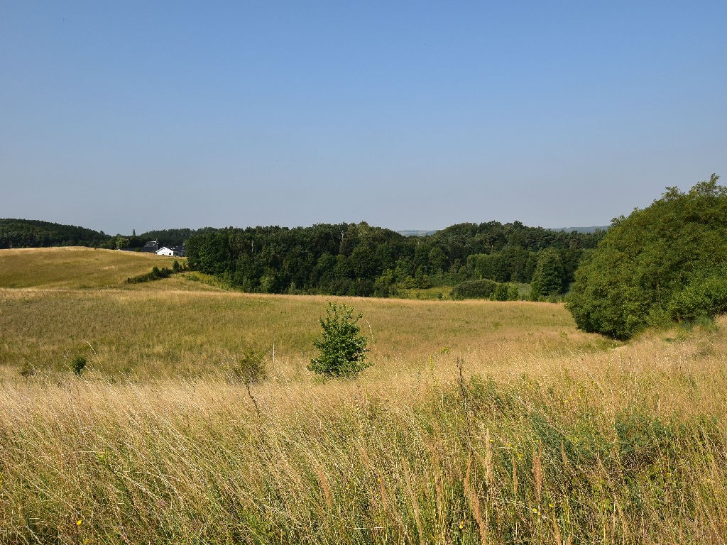 Na Sprzedaż Gospodarstwo Rolne , 507 799 m2 , Szczecin - Czepino  — zdjęcie 8