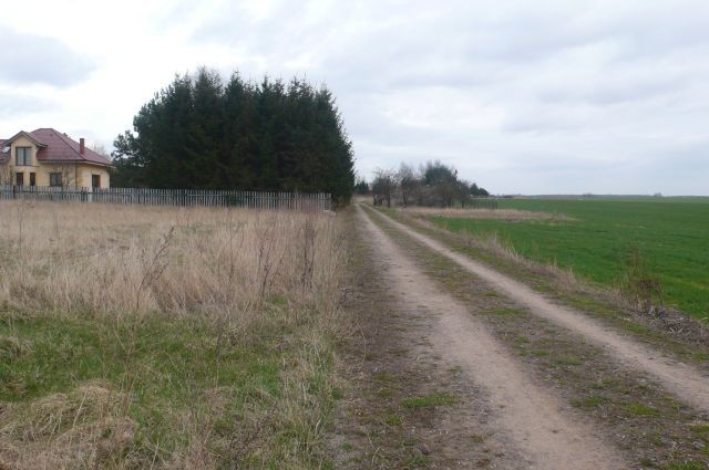 DZIAŁKA BUDOWLANA ,5300 m2 -Sobota , gmina Rokietnica  — zdjęcie 3