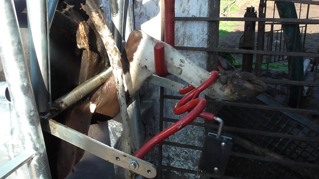 Poskrom do korekcji racic Elektryczno-Hydrauliczny — zdjęcie 2