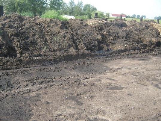 Obornik