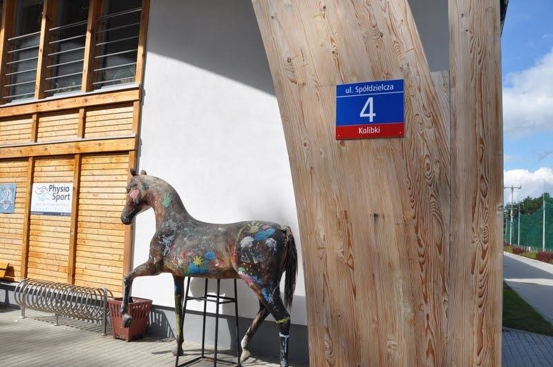 Obornik koński oddam — zdjęcie 3