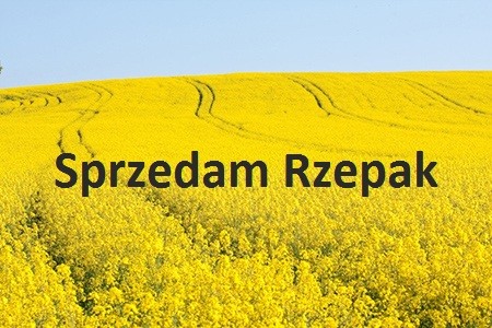 Sprzedam Rzepak
