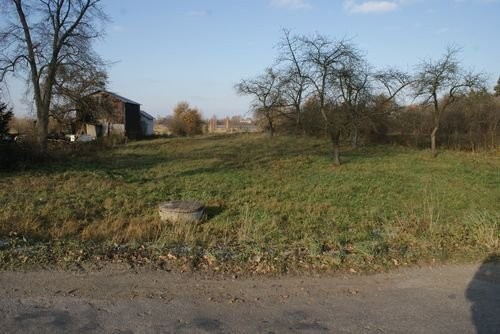 Działka z widokiem na jezioro Dreństwo k.Augustowa — zdjęcie 3
