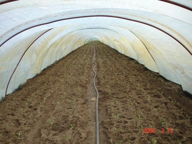 TUNEL FOLIOWY — zdjęcie 2