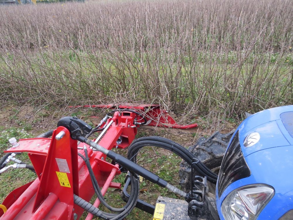 Weremczuk SAVA Wielofunkcyjna maszyna do sadów i plantacji — zdjęcie 2