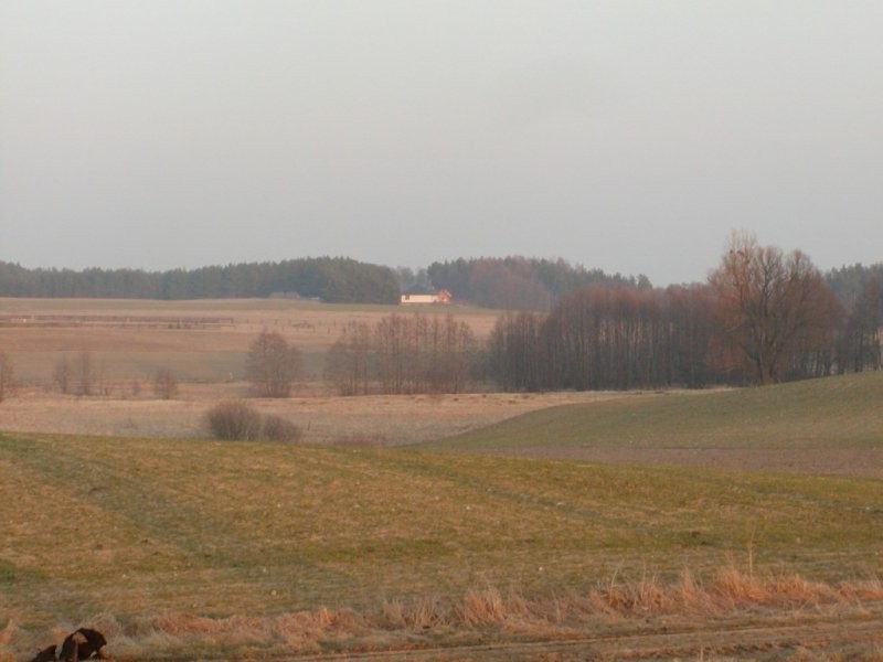 grunt z WZ i zwirownia min. 750.000 tys ton — zdjęcie 2