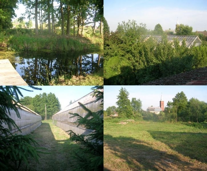 Gospodarstwo ogrodnicze — zdjęcie 1