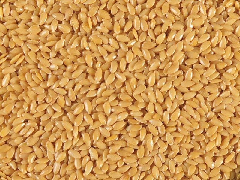 Sprzedam LEN BRĄZOWY — zdjęcie 2