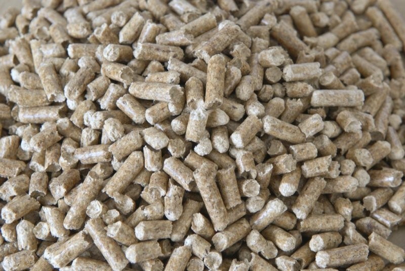 pellet słonesznikowy BIOMASA