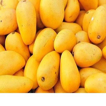 Wholesale Fresh Mango,Red star apples — zdjęcie 1
