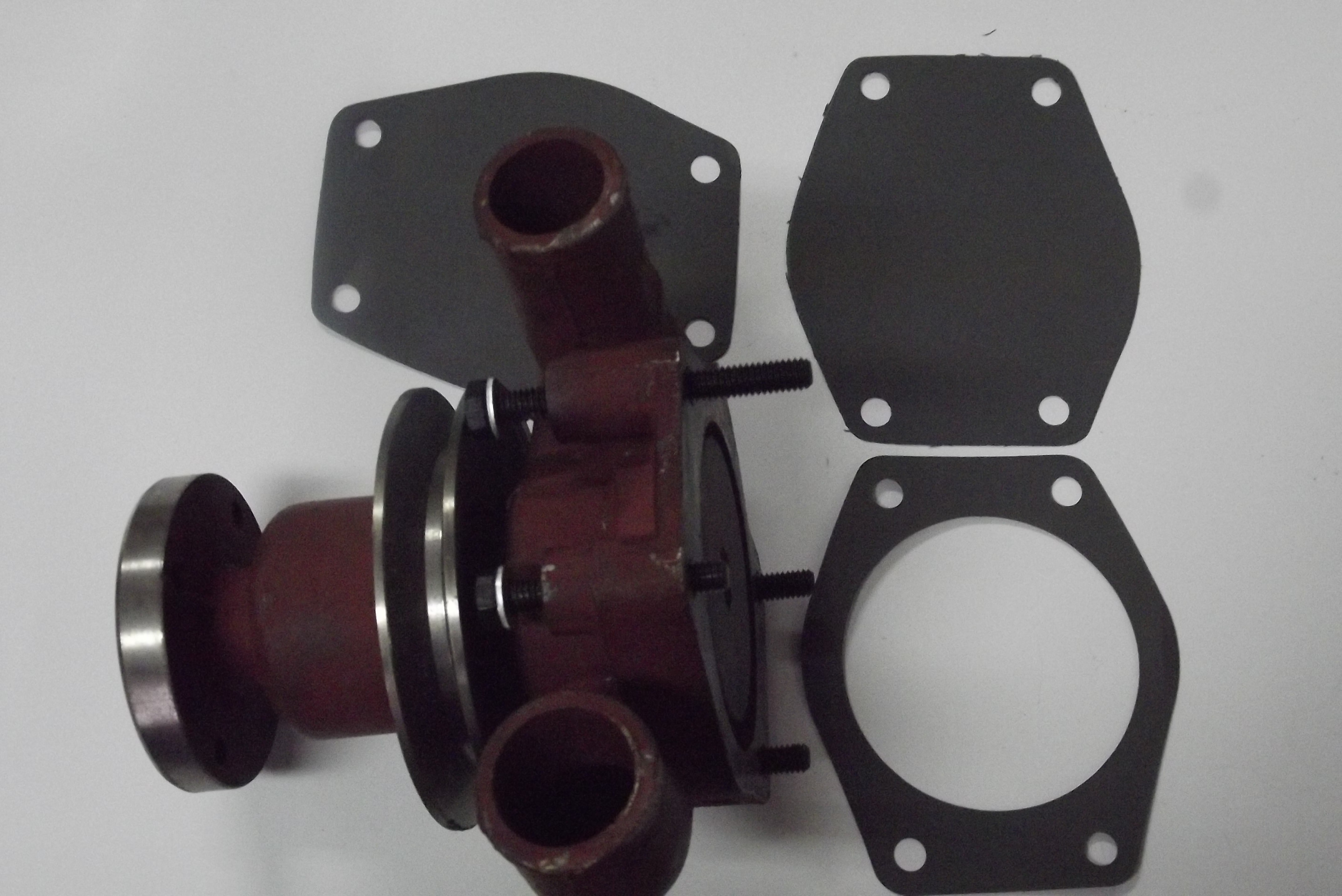 Pompa wody MF 3/MF 235/MF 255 - 1 pasek — zdjęcie 1