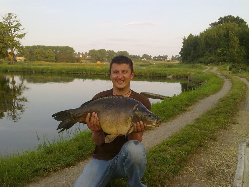 karp , karp handlowy — zdjęcie 1