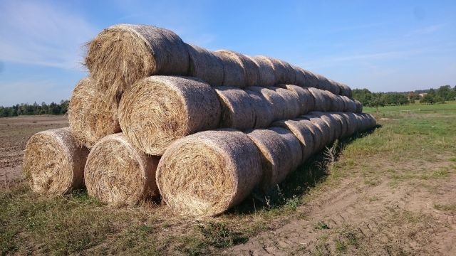 Sprzedam siano słoma 2016 — zdjęcie 2