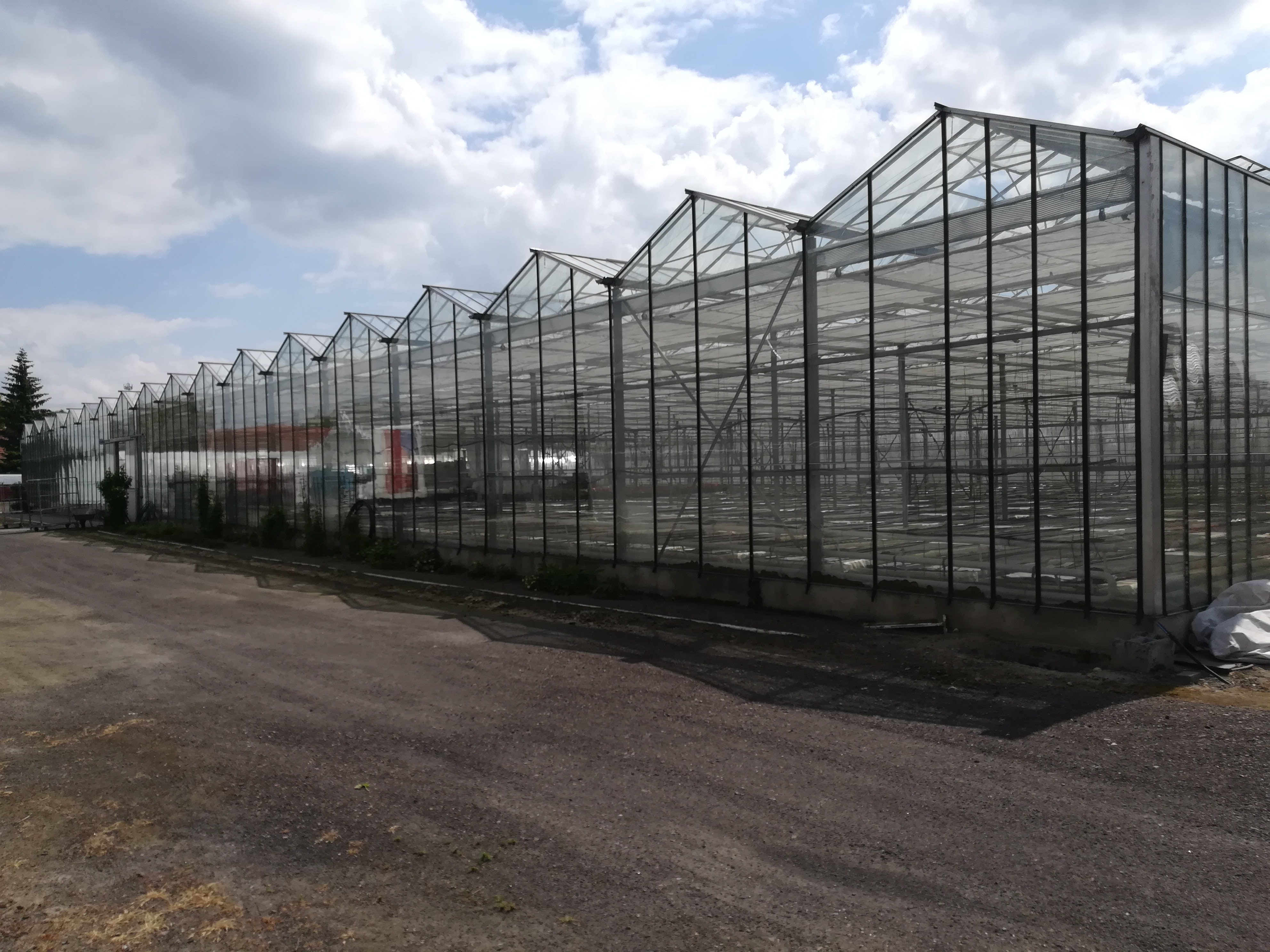 Dom i szklarnie w Bojanowie - wielkopolska, powiat rawicki — zdjęcie 2